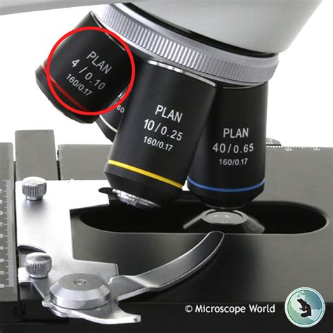 scanning lens microscope|1.4: Microscopy .